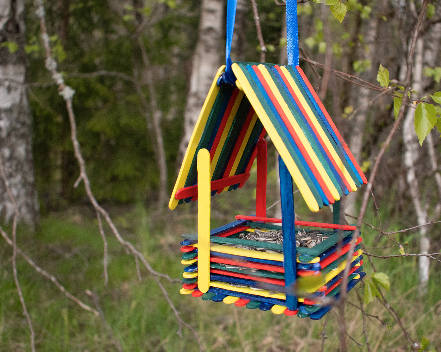 Vogelfutterhäuschen